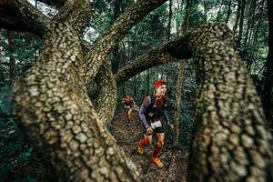 BIB: 
                            <button type="button" onclick="openModal(25394020)" class="btn btn-primary btn-sm float-right btn-popup" data-toggle="modal" data-target=".modal-high-quality">
                        <i class="fas fa-shopping-cart"></i> Add to Cart
                    </button>
                                            <button type="button" onclick="isThisMe(25394020, true)" class="btn btn-success btn-sm float-right btn-popup btn-isme hidden" data-toggle="tooltip" data-placement="bottom" title="นี่คือรูปของคุณใช่ไหม คลิกที่นี่เพื่อเอาเข้าอัลบั้ม">
                        <i class="fas fa-plus"></i> Add to album
                    </button>
                    <button type="button" onclick="isThisMe(25394020, false)" class="btn btn-warning btn-sm float-right btn-popup btn-isnotme hidden">
                        <i class="fas fa-ban"></i> Remove from album
                    </button>